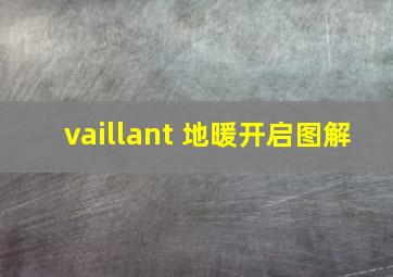 vaillant 地暖开启图解